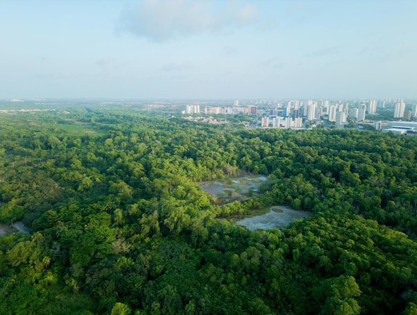 Transformez votre espace de vie avec notre expertise personnalisée